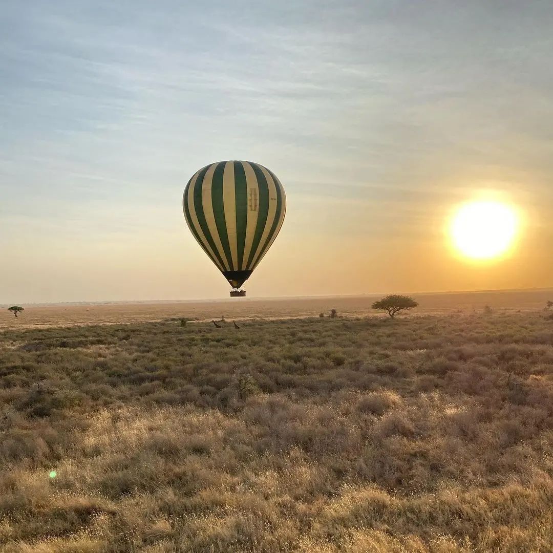 4 DAYS BEST BALLOON SAFARIS "Embrace Serengeti’s majesty: hot air balloon safari" tour image