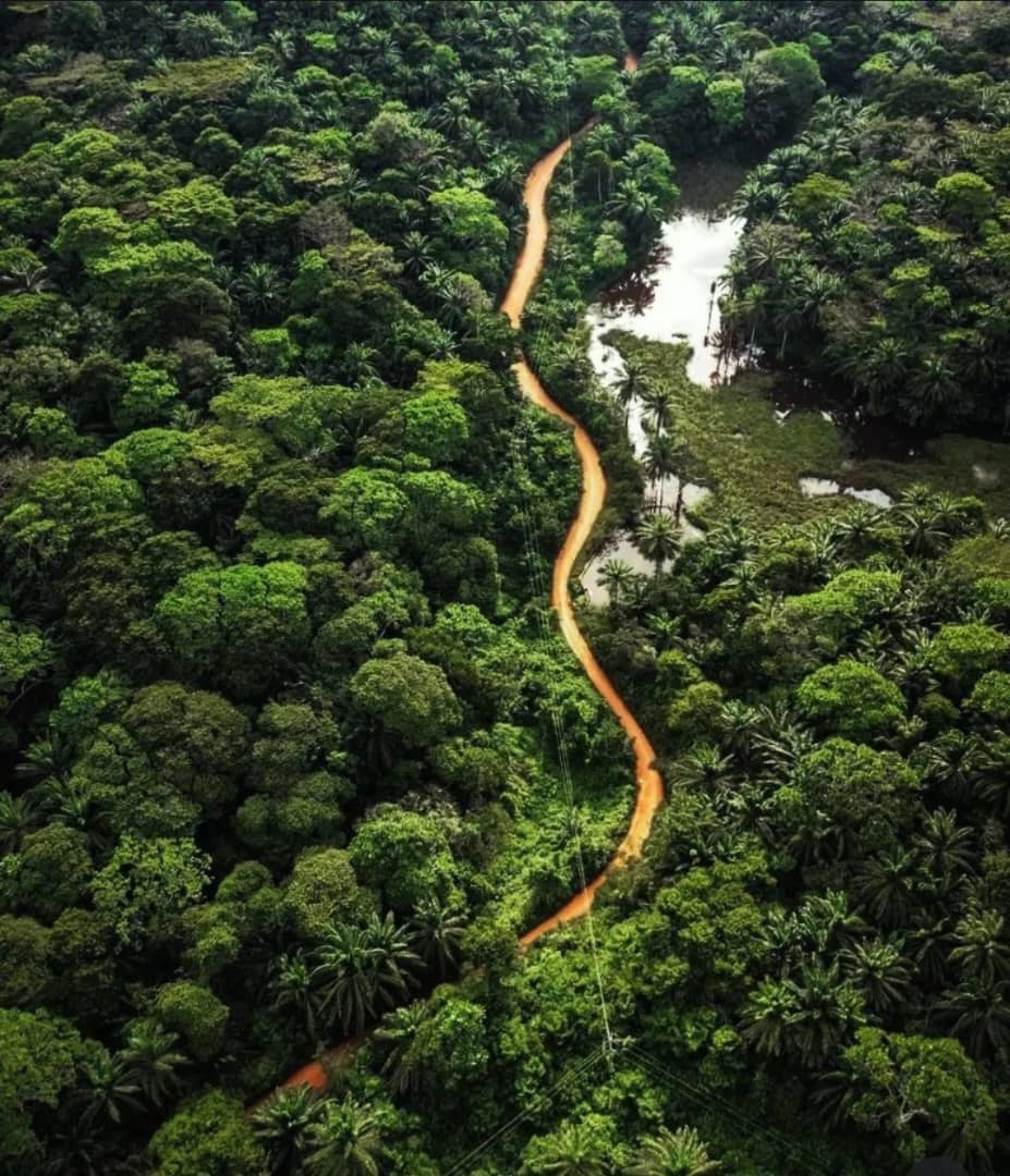 3 DAYS MAGOROTO FOREST GETAWAY tour image
